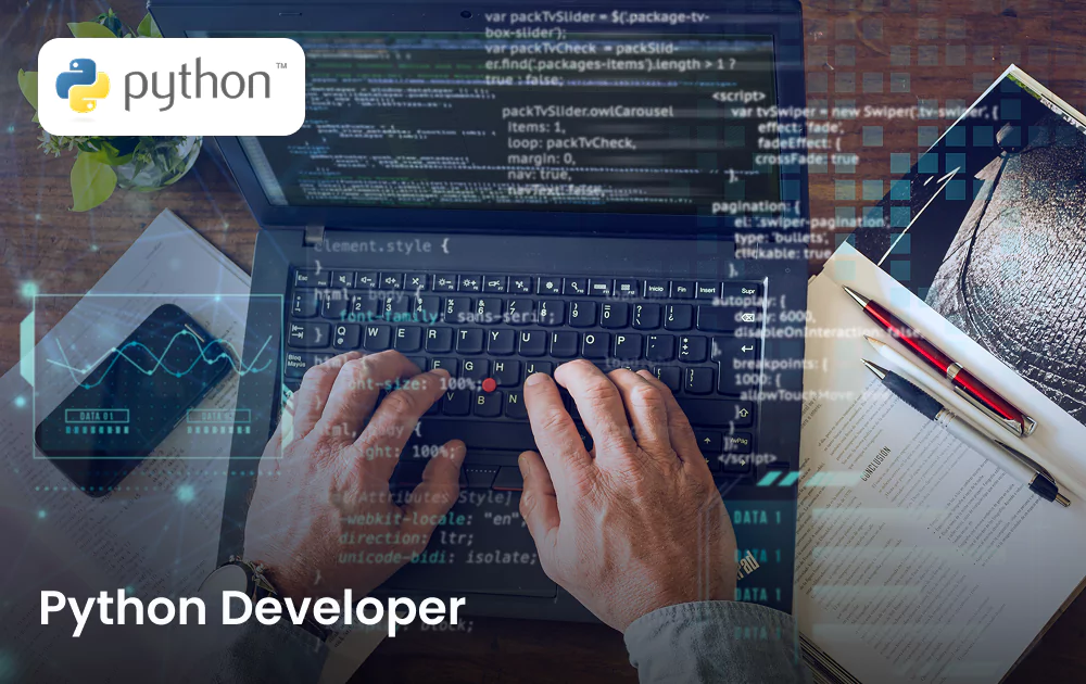 hire-python-developer